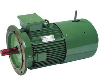 Crane Duty Motor
